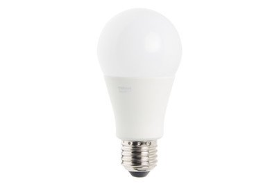 Bulbs Ampoule LED Dimmable | W