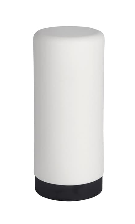 WENKO Distributeur de liquide vaisselle Easy Squeez-e blanc 250 ml, silicone
