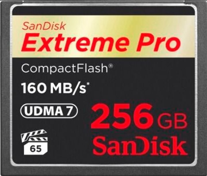 SanDisk Carte CF Extreme Pro 256 GB cartes memoire