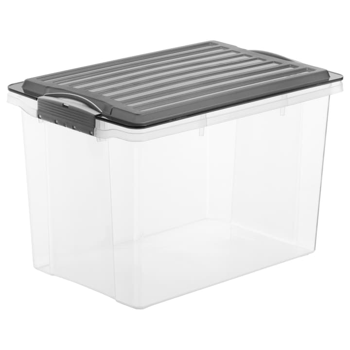 Rotho Compact Boîte de rangement 19l avec couvercle, Plastique (PP) sans BPA, gris/transparent, A4