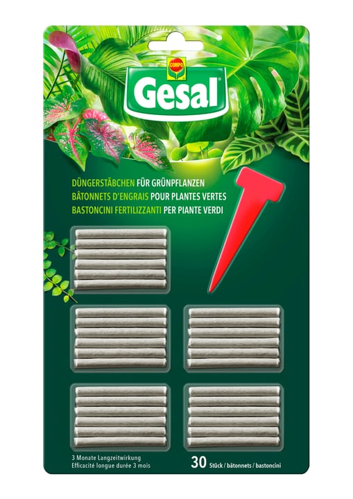 Compo Gesal Bâtonnets d'engrais pour plantes vertes, 30 p.
