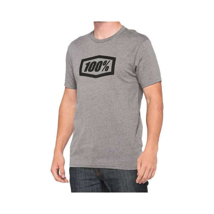 100% Icon T-shirt gris