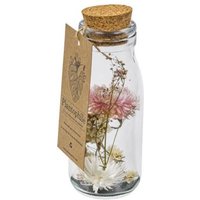 Fleurs séchées en bouteille Plantophile Dried flower collection M